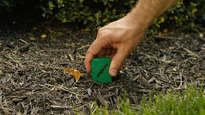 How To Bait Ants