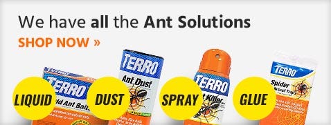 Protect Your Home with Terro Multi-Purpose Insect Bait