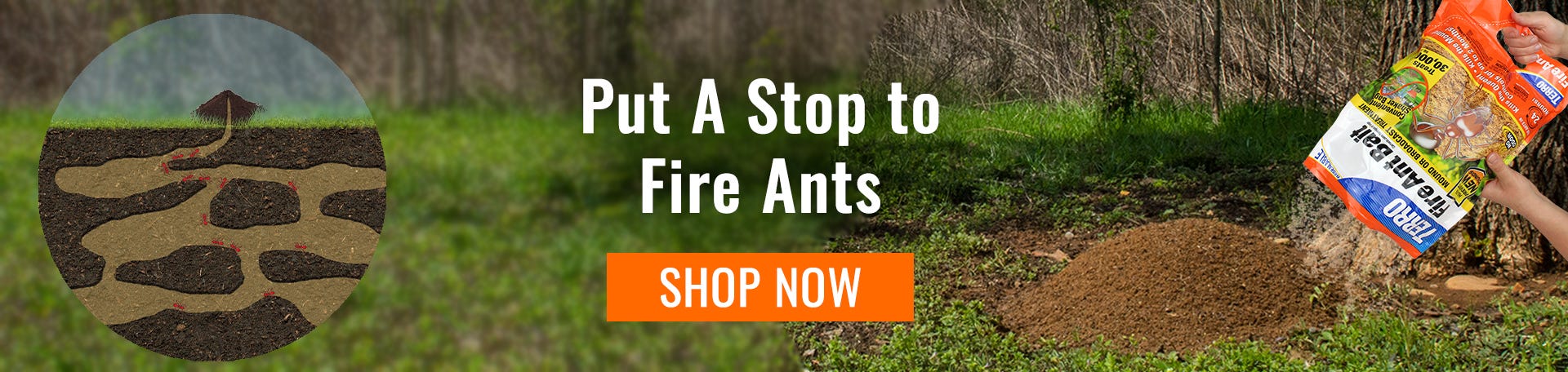 fire ant mound being treated with TERRO Fire Ant Bait