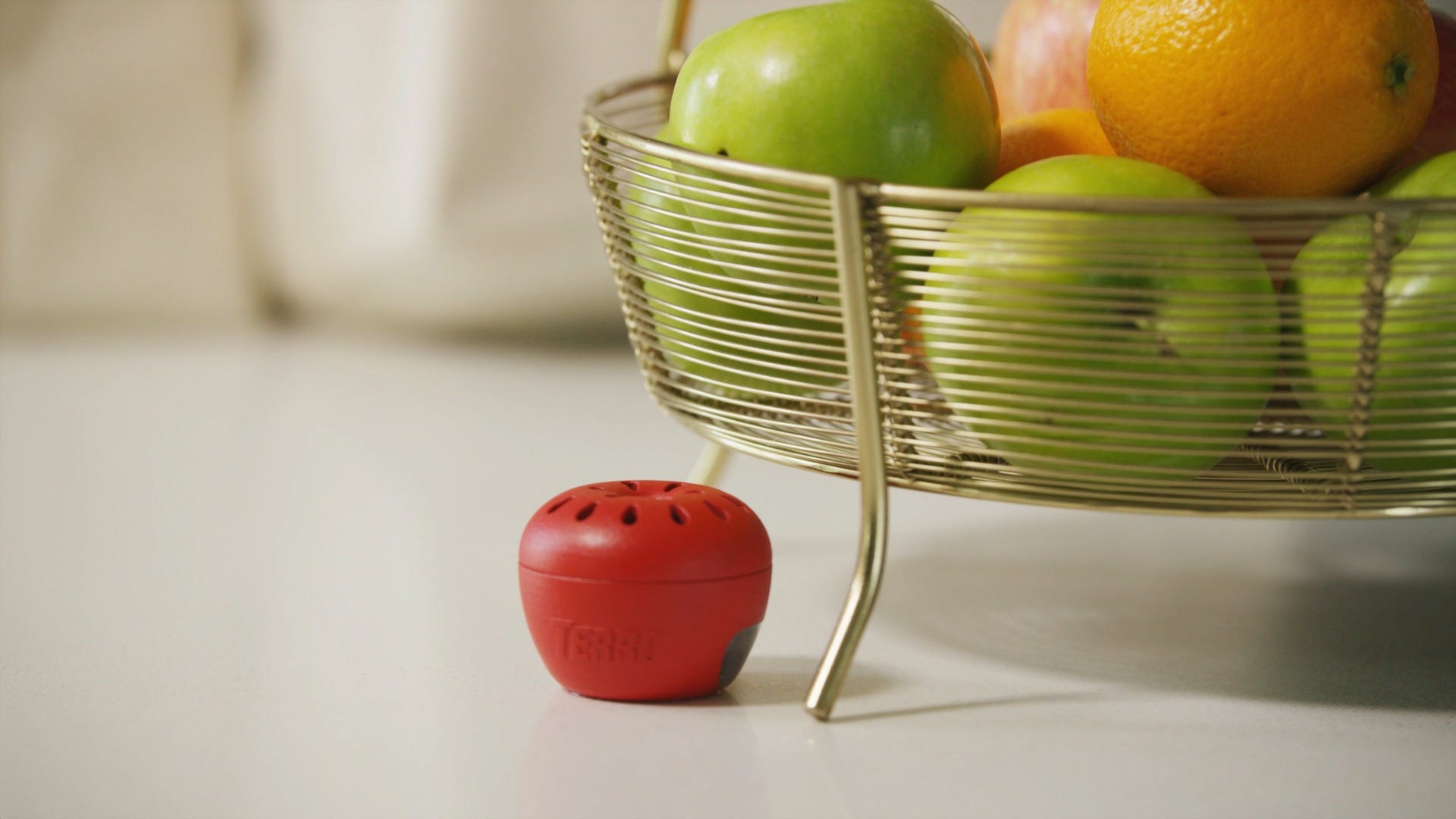 TERRO® Fruit Fly Trap, Looks Like an Apple!