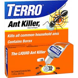 queen ant control