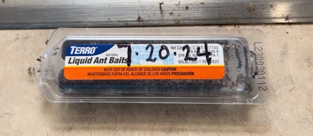 A real photo of  TERRO® Ant & Roach Baits by Becket (1)