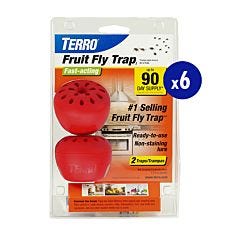 TERRO® Fruit Fly Trap - 6-Pack