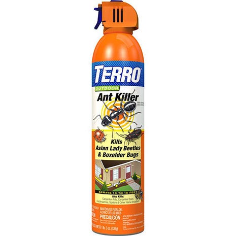 ant killer spray