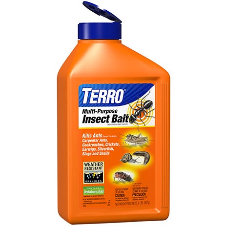 Insect bait