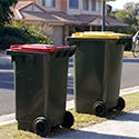 Outdoor trash bins