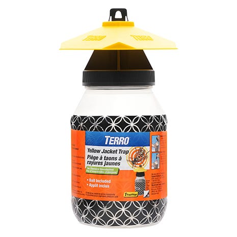 yellow jacket trap