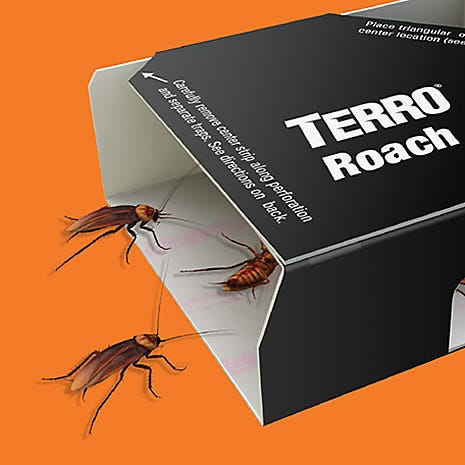 Discreet Roach Traps