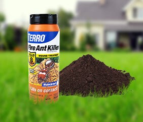 Liquid Ant Baits for Indoors and Outdoors