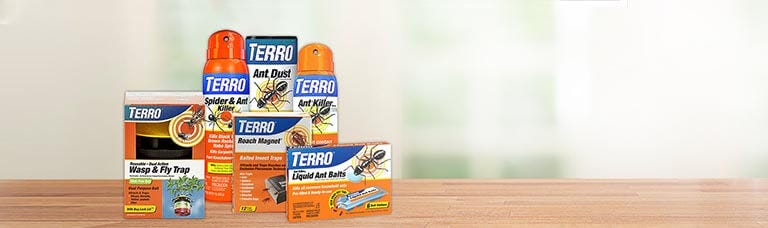 TERRO: Innovation in Home Insect Control