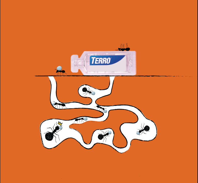TERRO Kills the ants you see and the ones you don't