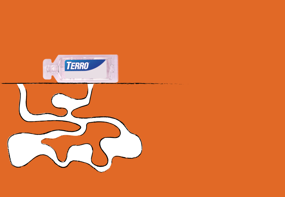 TERRO Kills the ants you see and the ones you don't