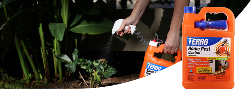 TERRO Home Pest Control