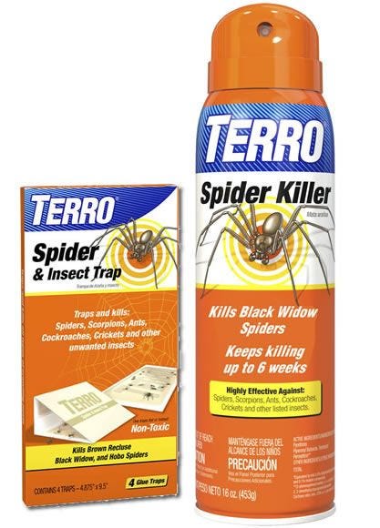 Spider Control