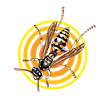 Wasps and Hornets