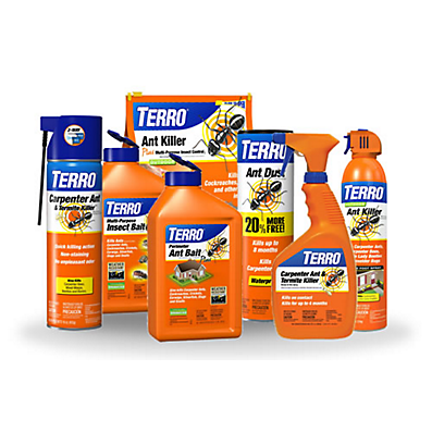 Carpenter Ant Control Products