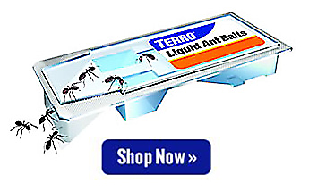 Liquid Ant Bait Liquid Ant Bait