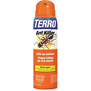 Argentine Ants