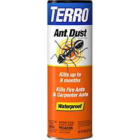 Ant dust