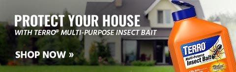 Protect Your Home with Terro Multi-Purpose Insect Bait