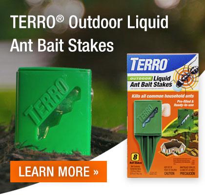 Terro Ant Stakes