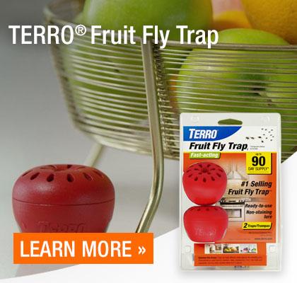 Terro Fruit Fly Traps