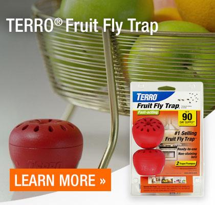 Terro Fruit Fly Traps