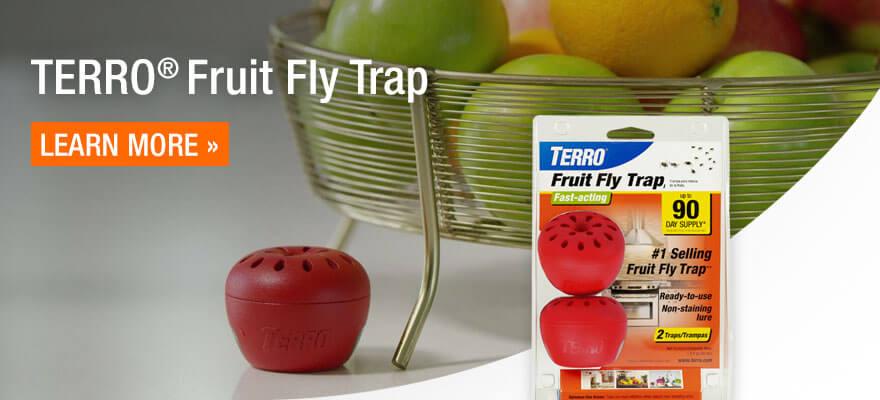 Terro Fruit Fly Traps