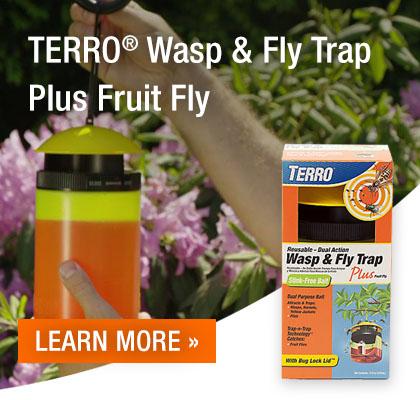 Terro Wasp and Fly Trap